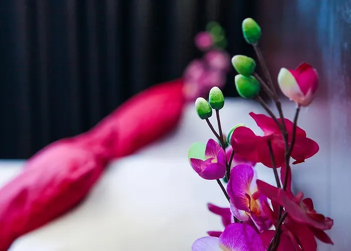 Falcon Plaza Centre Amsterdam